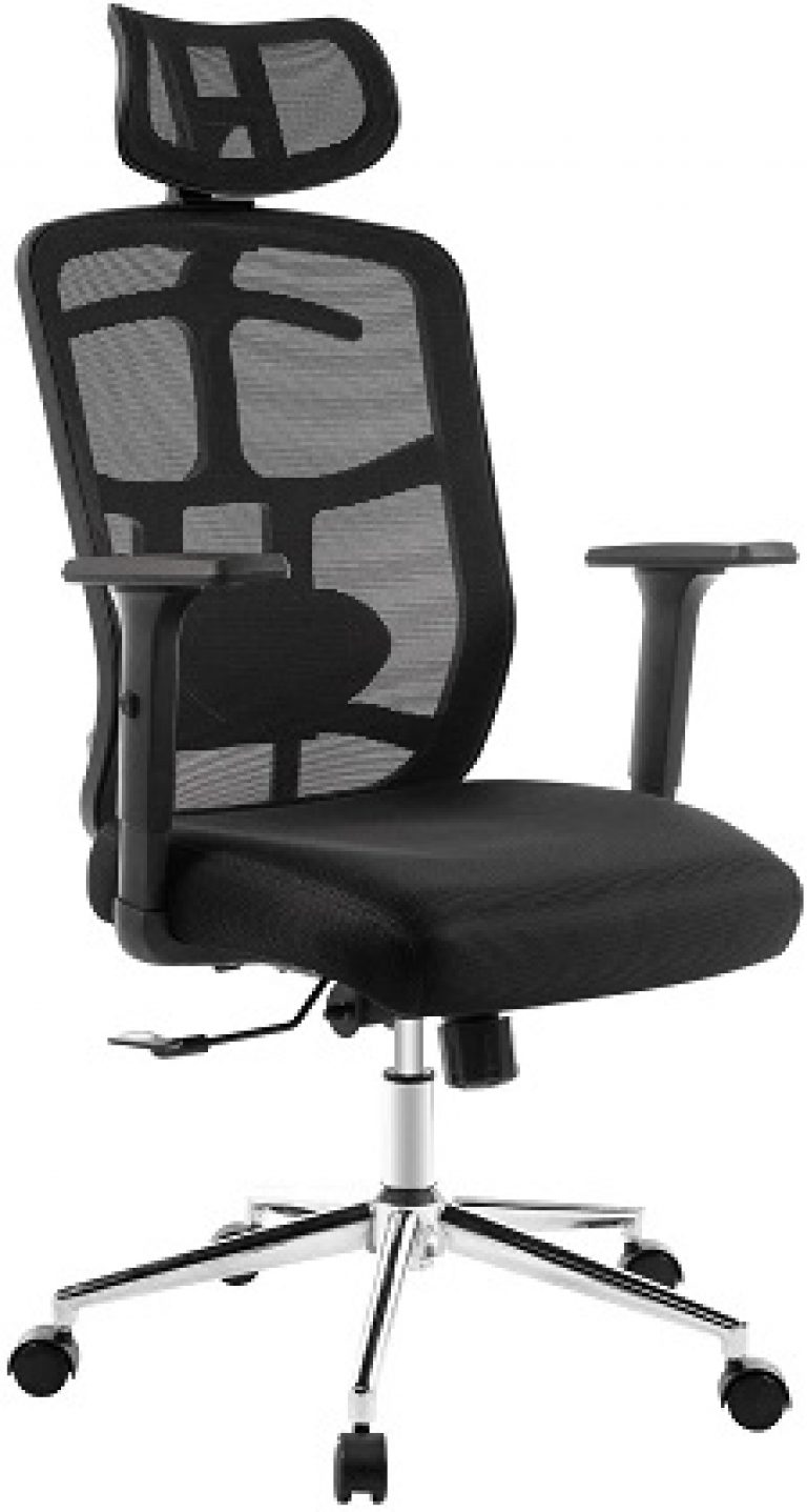 Best Office Chair for Back Pain of 2022 Reviews and Guide The Proud