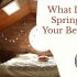 How to Choose the Best Box Spring Mattress – 6 Expert Tips
